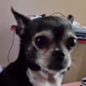 Meet your Posher, Heather ellisor